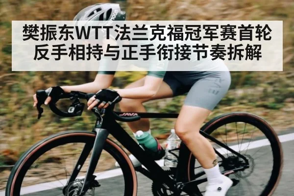 樊振东WTT法兰克福冠军赛首轮反手相持与正手衔接节奏拆解