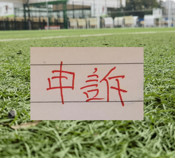 北京国安曹永竞踩踏大连外援红牌 最终决定正确！|中国足协|成都蓉城|韦世豪|王竞|比赛_新浪体育_新浪新闻